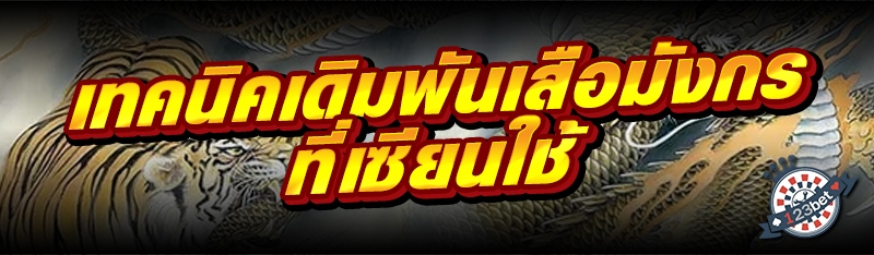 เทคนิคเดิมพันเสือมังกรที่เซียนใช้