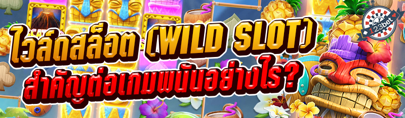 ไวล์ดสล็อต (Wild Slot) สำคัญต่อเกมพนันอย่างไร?